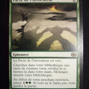 Pacte De L'invocateur Vision De L'avenir