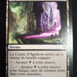 Crypte D'agadeem Zendikar