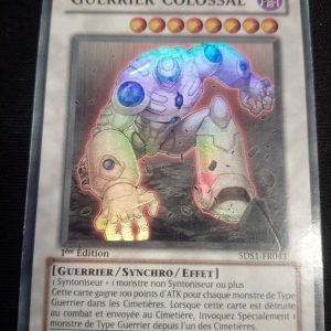 Guerrier Colossal 5ds1-fr043