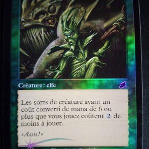 Bouvier Krosian Foil Fléau