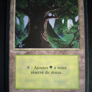 Forêt FBB