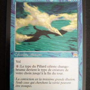 Pillard Céleste Changebrume Carnage