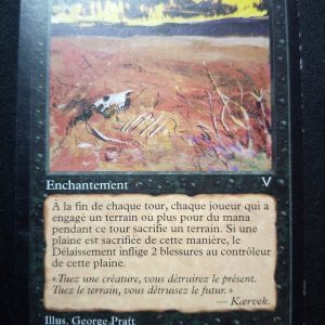 Délaissement Vision