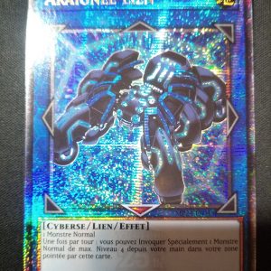 Araignée Lien Mp24-fr045